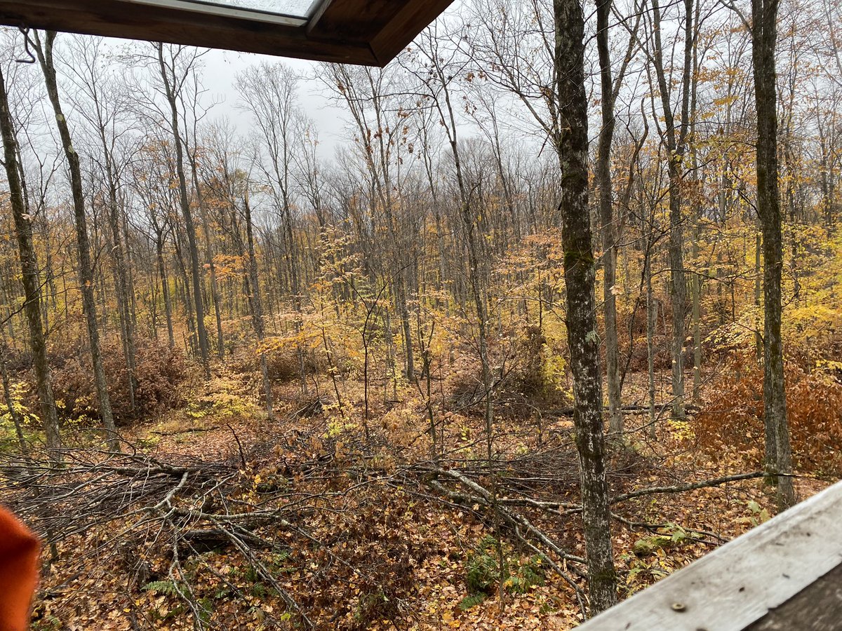 Moose Hunt 2022!! Another Muskoka morning!!! #muskoka #rainyopeningday