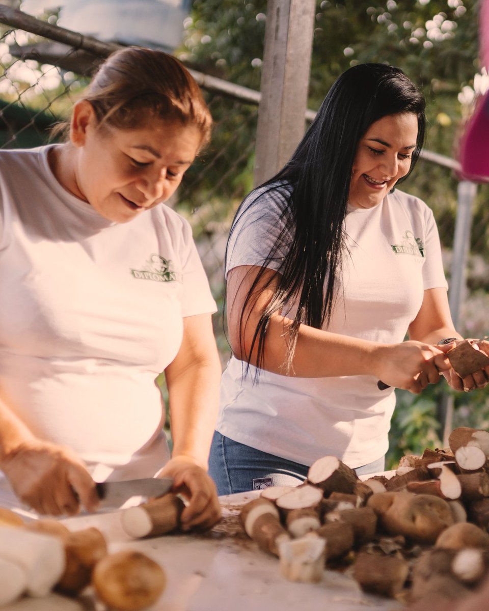 DiplomaticoRum's tweet photo. Putting as much care into our community as we put into crafting our rums means supporting zero food-waste initiatives. We’re committed to drastically reducing food waste and donating leftover food to those in need through our #DistilledConsciously &amp; Project Leftover programs 🌎🥕 https://t.co/48QxtnAEvC