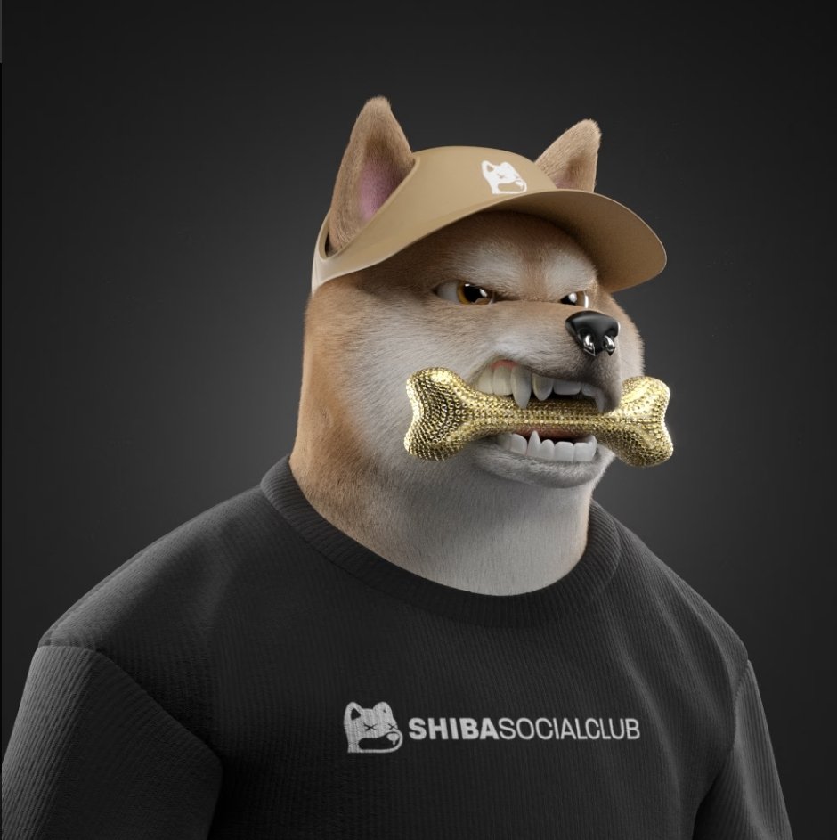 <a href="/TFGmykL/">TFG</a> My most favourite NFT project out there is definetly <a href="/Shibaclubnft/">Shiba Social Club</a> 🔥
Why ? Just check out the insane community and the awesome artwork 🥂