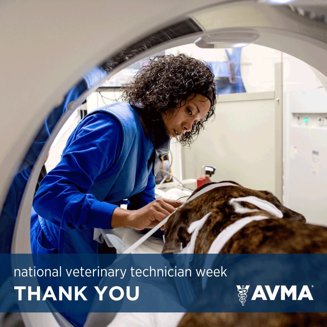Tweet by AVMA (American Veterinary Medical Association)