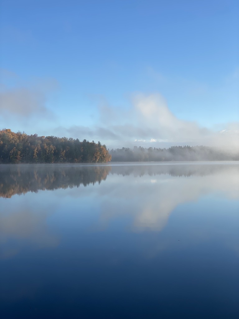 Jeff Sternberg tweet media