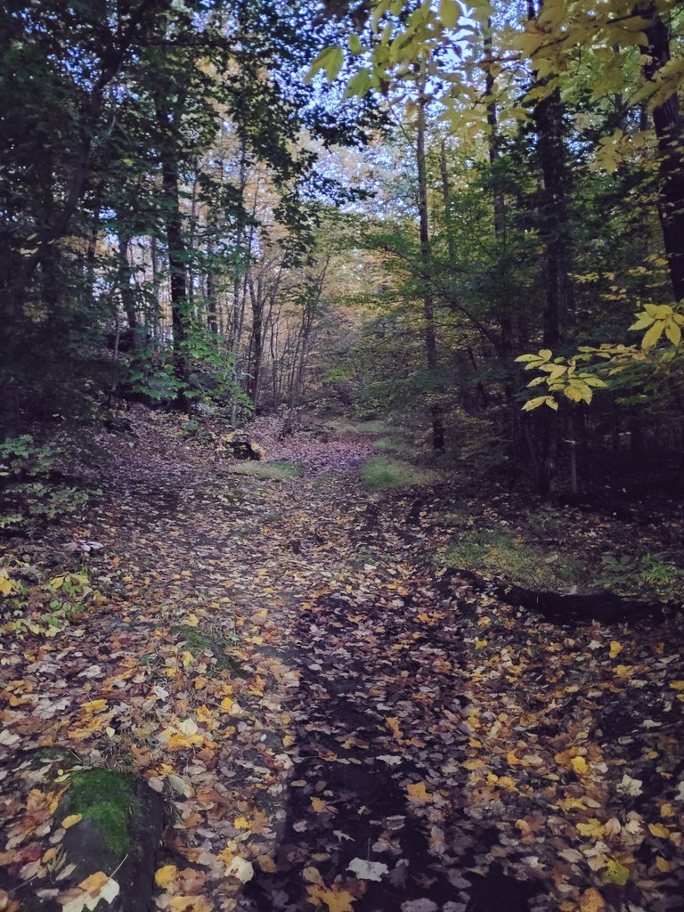 archery_paul's tweet photo. Hiking is a bit like life: The journey only requires you to put one foot in front of the other again and again, and if you allow yourself the opportunity to be present throughout the entirety of the trek, you will witness beauty every step of the way, not just at the summit. https://t.co/KMPORq4Jpq