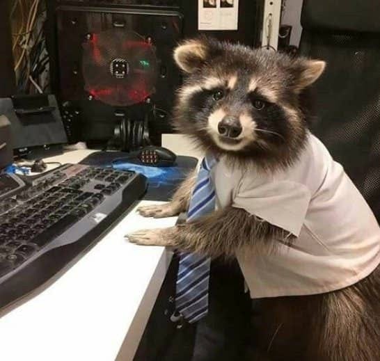 Después de unas semanas un poco moviditas volvemos al trabajo!
Y vosotros como habéis estado estas semanas?