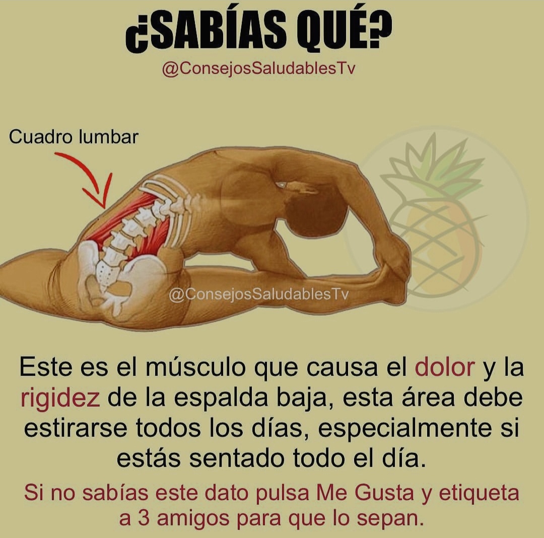 AtencionYoSoy's tweet photo. 🙏✨💫🌞Tip Saludable🌞💫✨🙏

Para más tuits así:
*Sigueme en Twitter
*Like y Retuit
*Regálme un comentrio https://t.co/5WaFZDFpcY