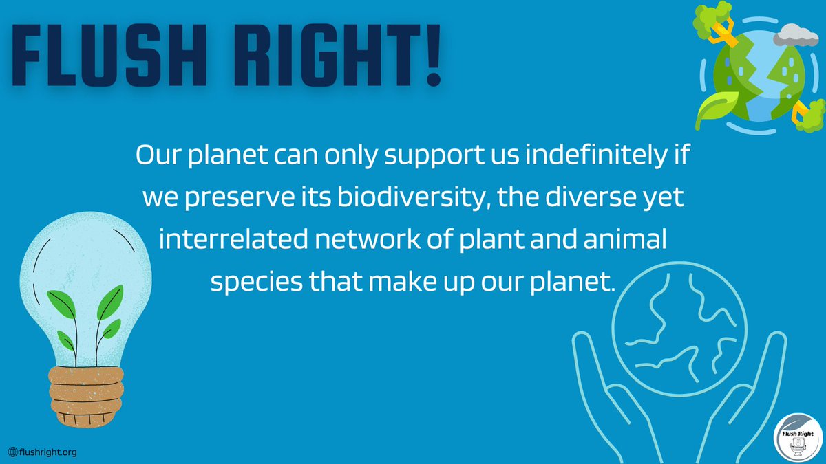 In order for our planet to keep on sustaining our needs, we must also take care of it so it would continue its job in keeping us alive. Let us protect and preserve our mother earth.
#flushright #earth #motherearth #preserve #preservation #toilet #planet #welovetheearth #protect