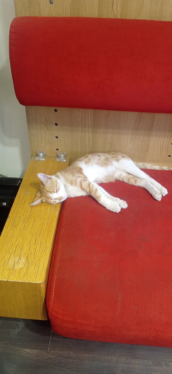 Her gün bu şekildeyim