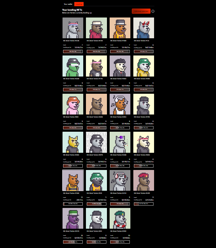 <a href="/XthStTerriers/">10th St. Terriers (𝖃𝖙𝖍)</a> FTW 🚀

- Dope as fuck pixel work by <a href="/grxmxth/">grxm</a>
- Fully working staking/reward game
- Solid Community &amp; <a href="/MagicEden/">Magic Eden 🪄</a> approved

This bear has been brutal for the space but only those projects who've been building are going to make it.

So please, DYOR - it's awesome 💎