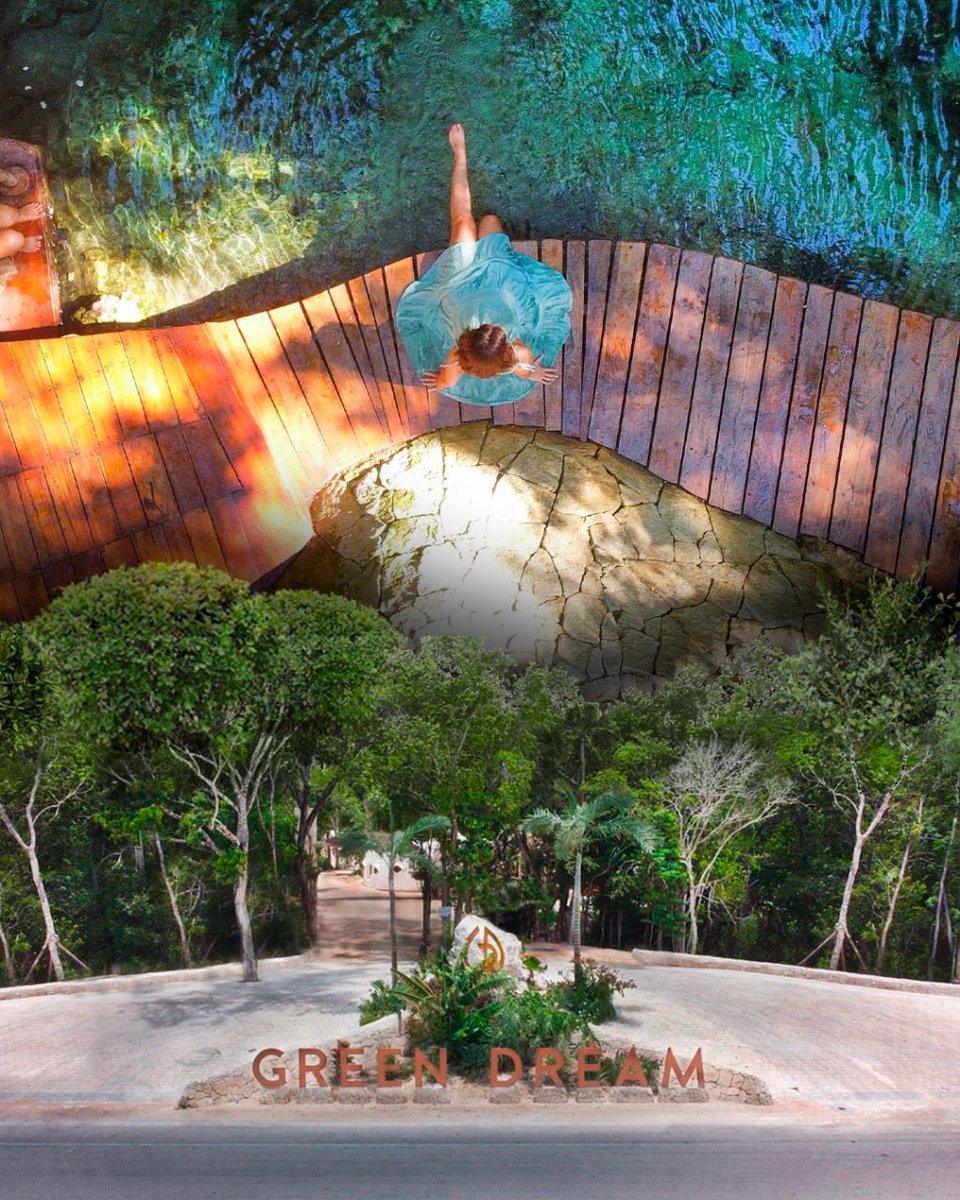 love_tulum's tweet photo. HOUSES + LOTS FOR SALE
🌿Imagine living surrounded by nature in the tranquility of the jungle, now make it happen, contact us...📲🍃

 #development  #realestate #realestatelife  #lotsforsale #investmentproperty #safeinvesting https://t.co/r4GFlveQj4
