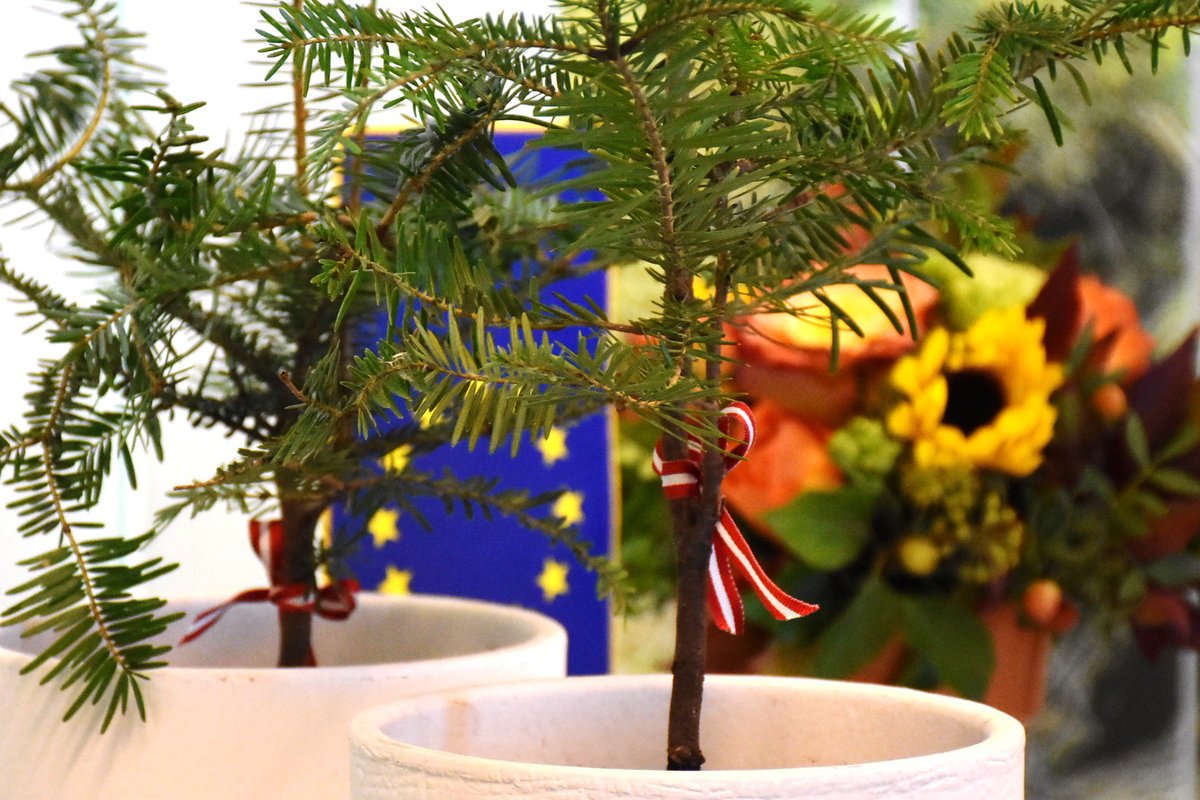 AustriaatEU's tweet photo. Today 🇦🇹 together with 🇫🇮 🇸🇪 🇸🇮 officially formed the #ForForest Group to promote and continue sustainable 🌳🌲management throughout 🇪🇺 https://t.co/QmeVJNf0oM