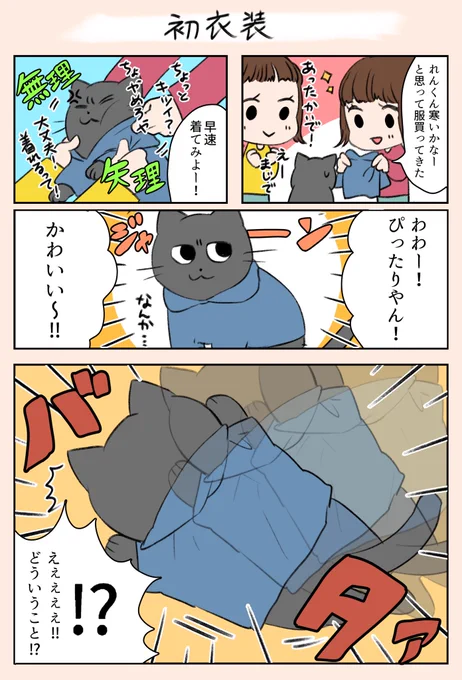 「初衣装」
猫は特に毛のセンサーが大事らしく、服でセンサーが遮断されてバランスが取れなくなるみたいです…😳
今は慣れて色々な服を着て走り回っています🤣
#漫画がよめるハッシュタグ 
#漫画
#4コマ漫画
#猫
#家族 