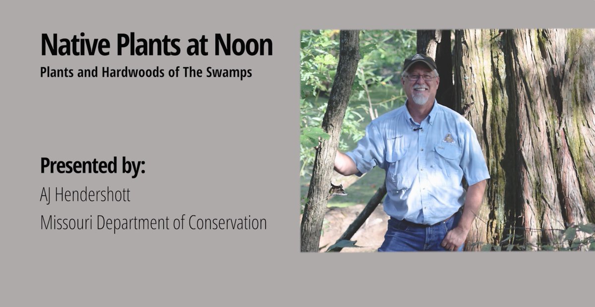 Deep Roots KC tweet media