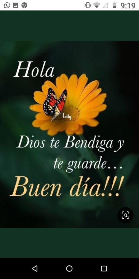 Norma Avalo (@avalnorma) on Twitter photo 