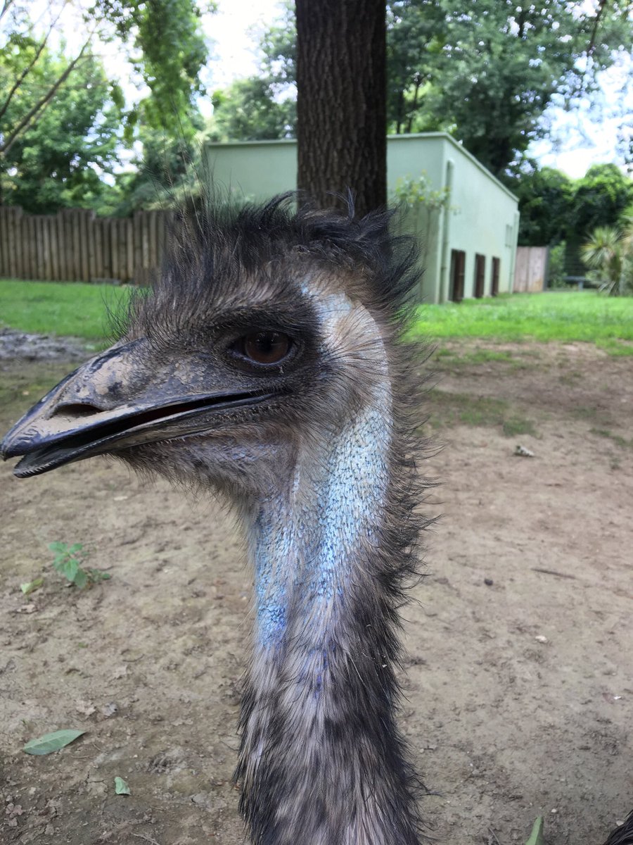 Bu kuştan da adak olmaz.