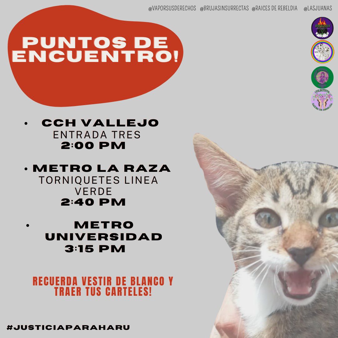 Brujas Insurrectas FES ACATLÁN tweet media