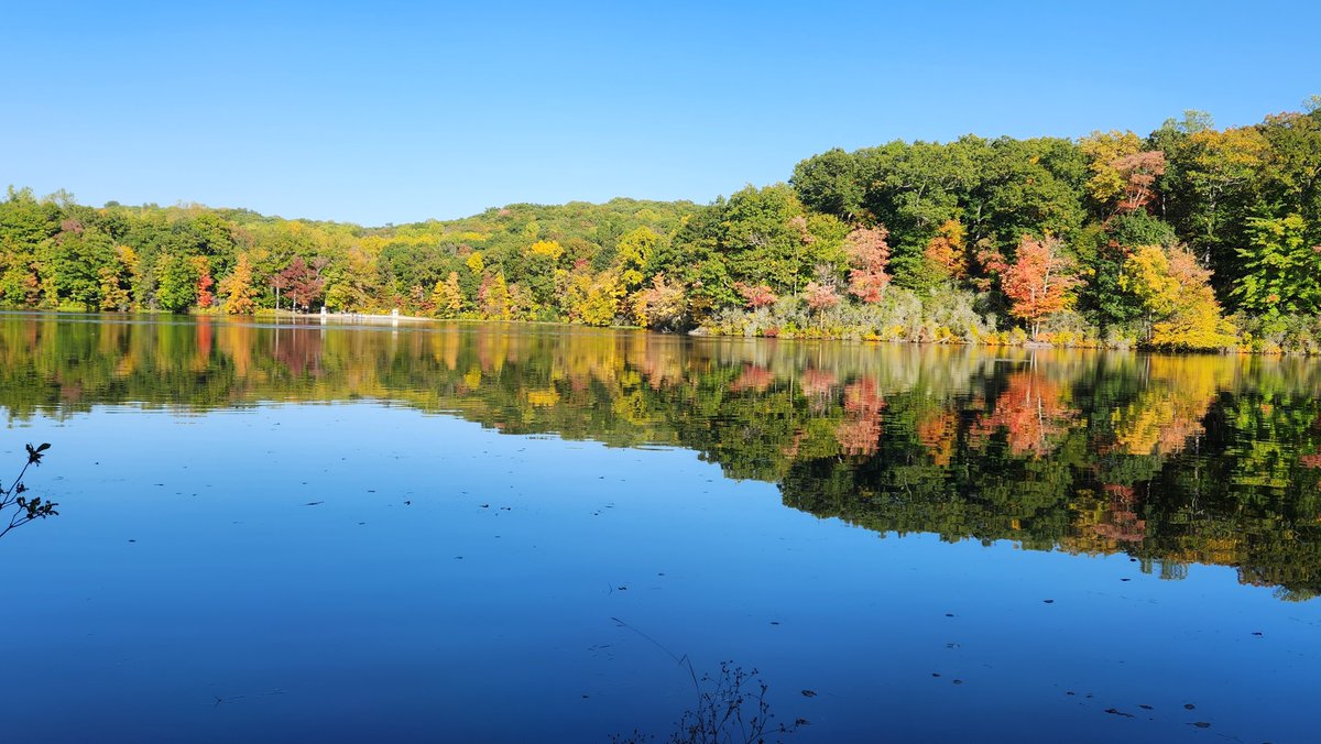 HelloRedding's tweet photo. hello, Redding Needs YOU - https://t.co/nEWHqSiwVx https://t.co/pYOQ77pvmT