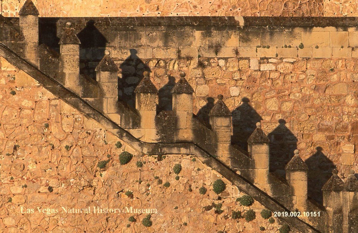 MacDonald Collection #10151
Segovia, Spain 
15th Century Castillo de Coca

#curation #photos #museum #museumarchive #collection
For more information about the collection, contact our Cultural History Collections Manager
@LauraBenedict11