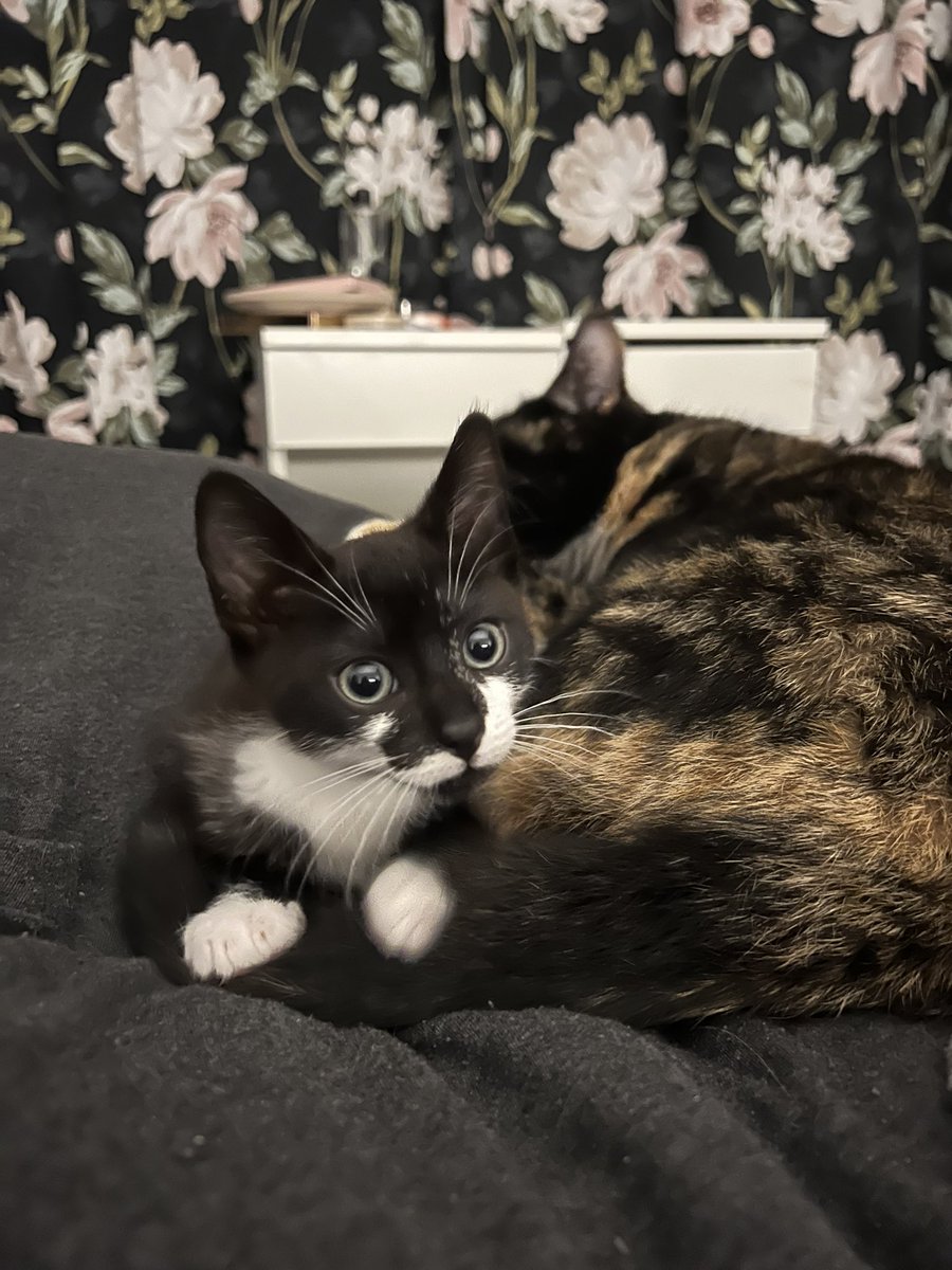 My big sisters trying to sleep but I’m waiting for her to wake up so I can play