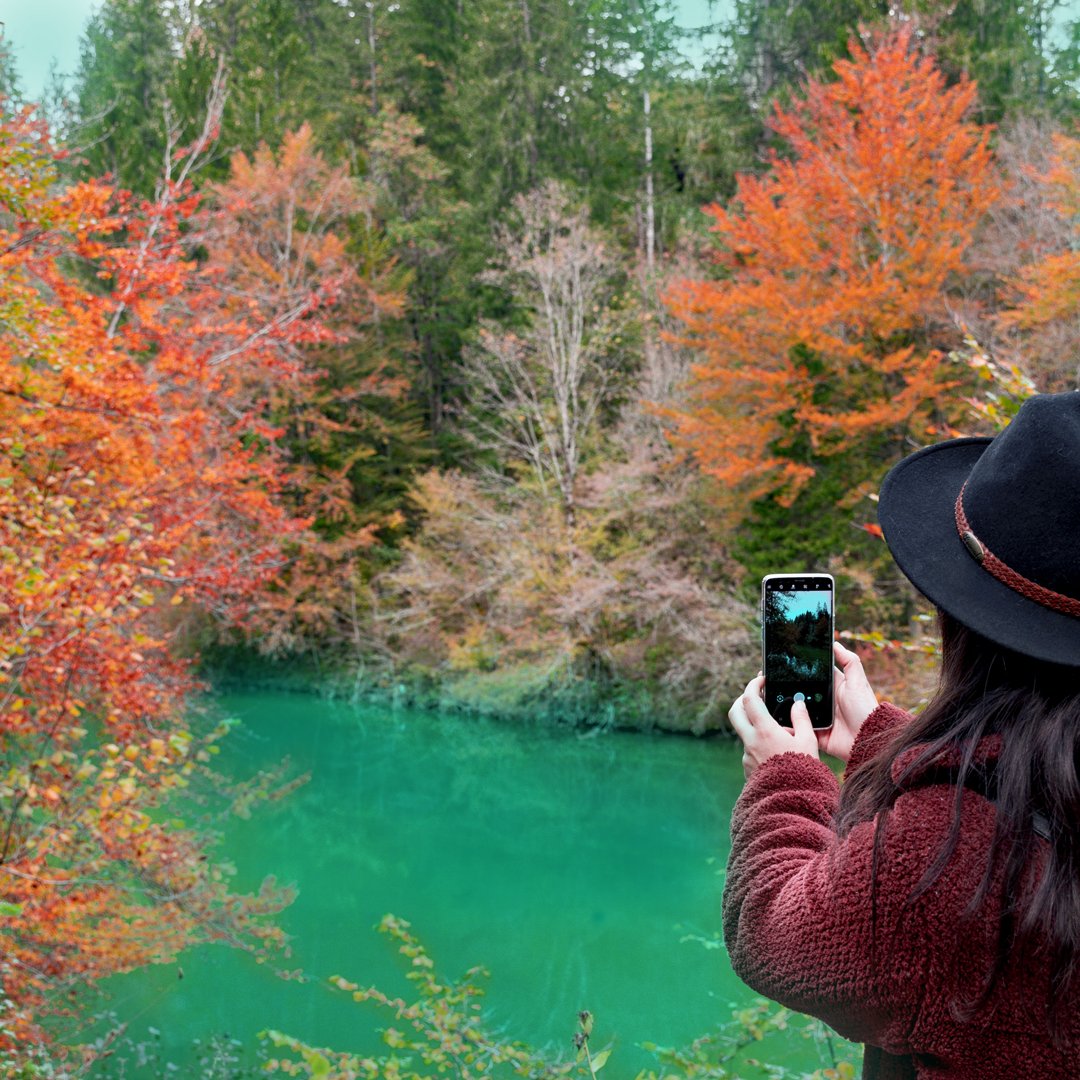 Upsy_Official's tweet photo. It's time to go leaf-peeping! As the colors change from green to orange and red, enjoy the beautiful sights!

#upsy #cbd #cbdbenefits #leafpeeping #autumn #fall https://t.co/1K7FEfQsio