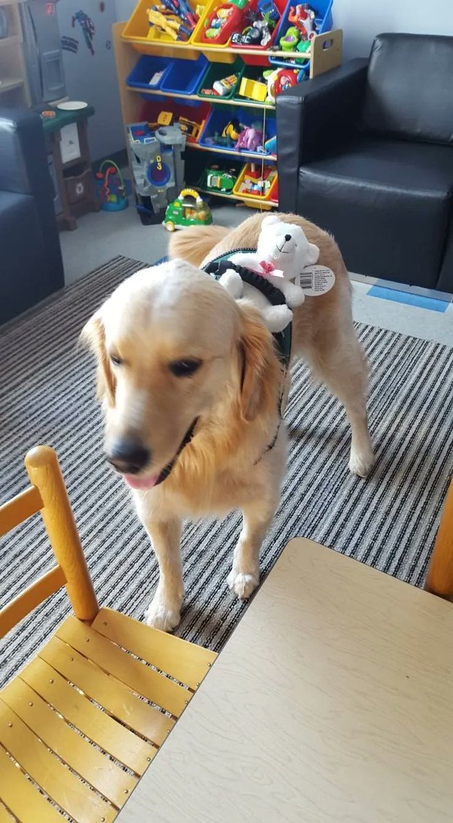 Our hearts are broken. Before Peace nuzzled into our lives, there was Bosch. We are beyond grateful for the compassion and support he gave to children during their darkest hours both in the courtroom and at our CAC. We love you and will forever miss you, Bosch. 💔💔🐕‍🦺