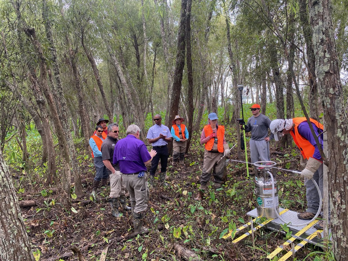 LSU News (@lsunews) on Twitter photo Coastal research is one of the priorities of <a href="/LSUpresident/">Office of the LSU President</a> William F. Tate IV's #ScholarshipFirst agenda. Today, <a href="/WFTate4/">William F. Tate IV</a> visited the South Louisiana coast to flyover several areas, along with seeing delta growth and ecology research at Wax Lake #LSUWorks #LSUResearch Coastal research is one of the priorities of <a href="/LSUpresident/">Office of the LSU President</a> William F. Tate IV's #ScholarshipFirst agenda. Today, <a href="/WFTate4/">William F. Tate IV</a> visited the South Louisiana coast to flyover several areas, along with seeing delta growth and ecology research at Wax Lake #LSUWorks #LSUResearch