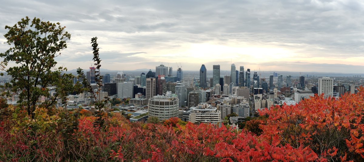 matthewvierimaa's tweet image. Reflecting back on a great weekend at @_SCAPPS 2022 in Montreal. First time back at SCAPPS (in-person) since 2015 in Edmonton. It was so nice to (re-)connect with mentors, colleagues, and students. Also... smoked meat and bagels.  Already looking forward to Kingston next fall!