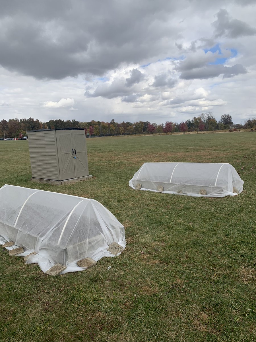 Our lettuce is covered and ready to face the colder weather! #wintergardening