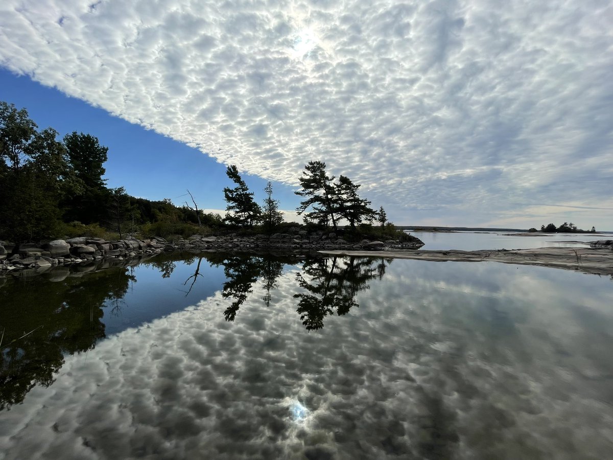 chestinho tweet media