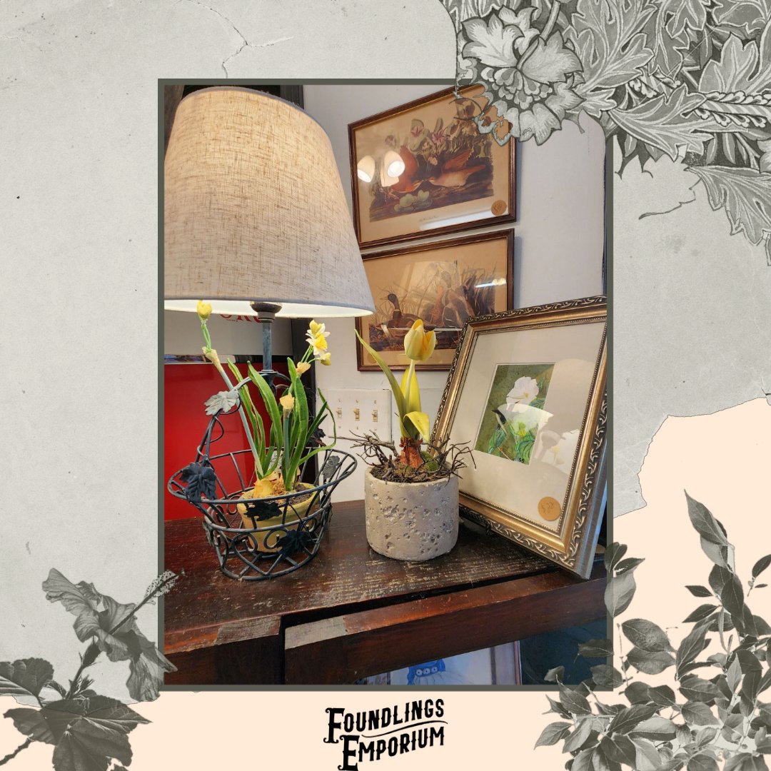 FoundlingsEmp's tweet photo. Timeless beauty. Intriguing stories. Foundlings Emporium. 

Friday and Saturday 10 am - 6 pm
Sunday 12pm - 6 pm

#Alabama #UniqueGifts #ShopSmall #IndianSpringsVillage #ChelseaAL #InvernessAL #GreystoneAL #HooverAL #LoganMartin #LakeMartin #LayLake https://t.co/uyTV4qLSdn