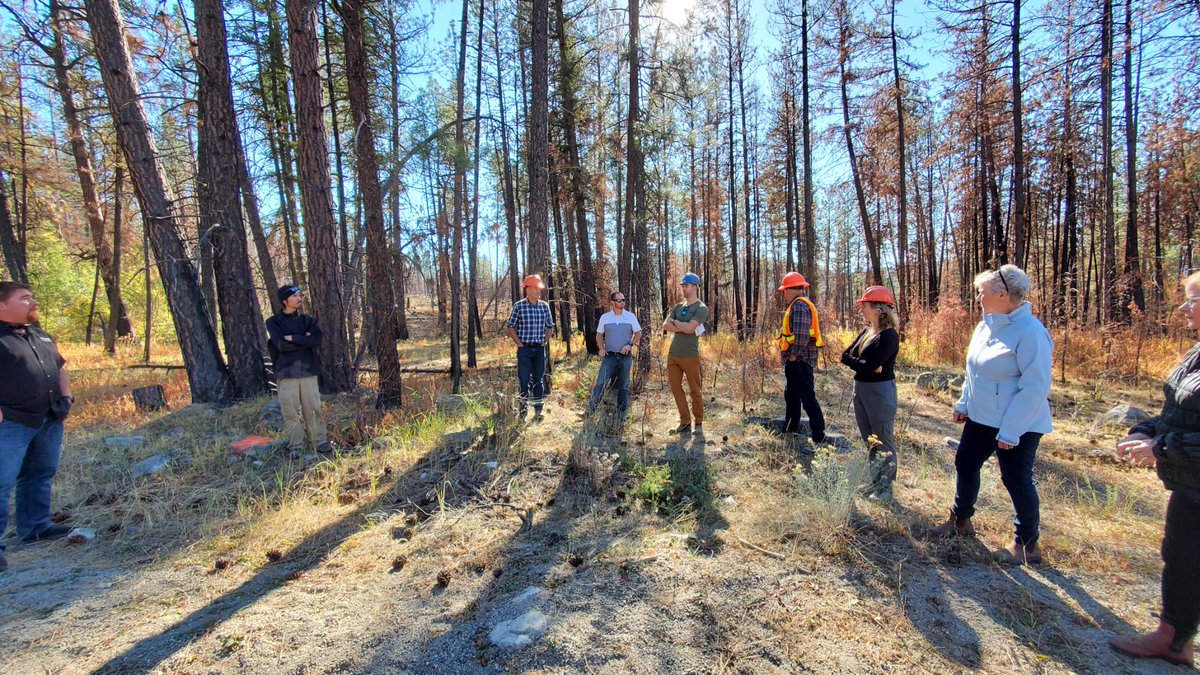 Thank you to Hon. @KatrineConroy and Roly Russell <a href="/rr4mla/">Roly Russell.</a>, for spending a day touring our Midway mill and meeting the team!
#SustainableForestry #SupportingCommunities