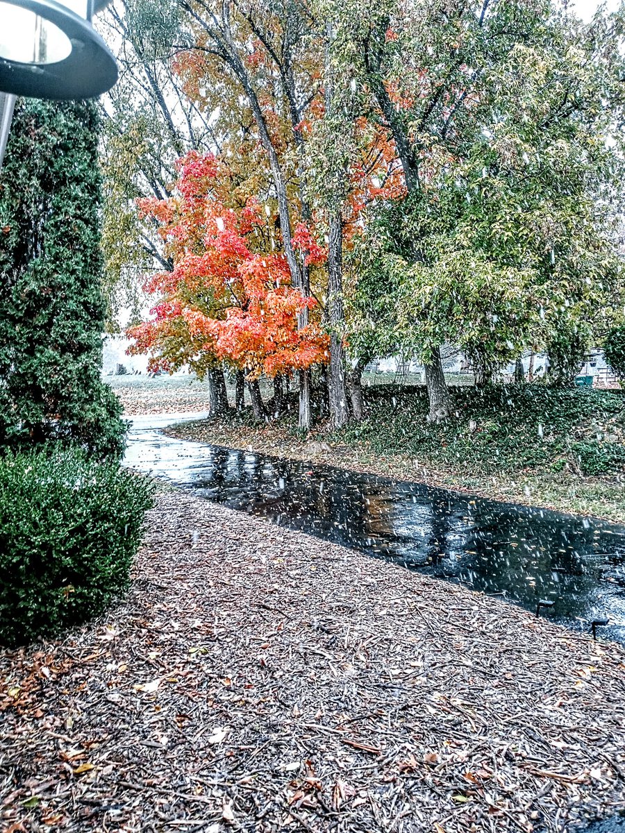 CReceipts2's tweet photo. I opened my front door to this ❄❄❄ 😲 #EarlySnowFall https://t.co/dQFK0XhUF8