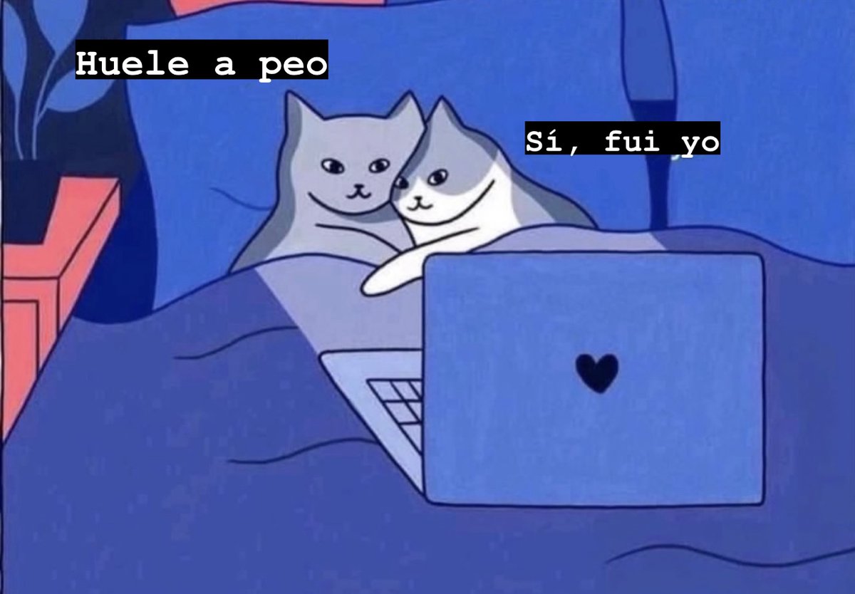 Eli Hunt tweet media