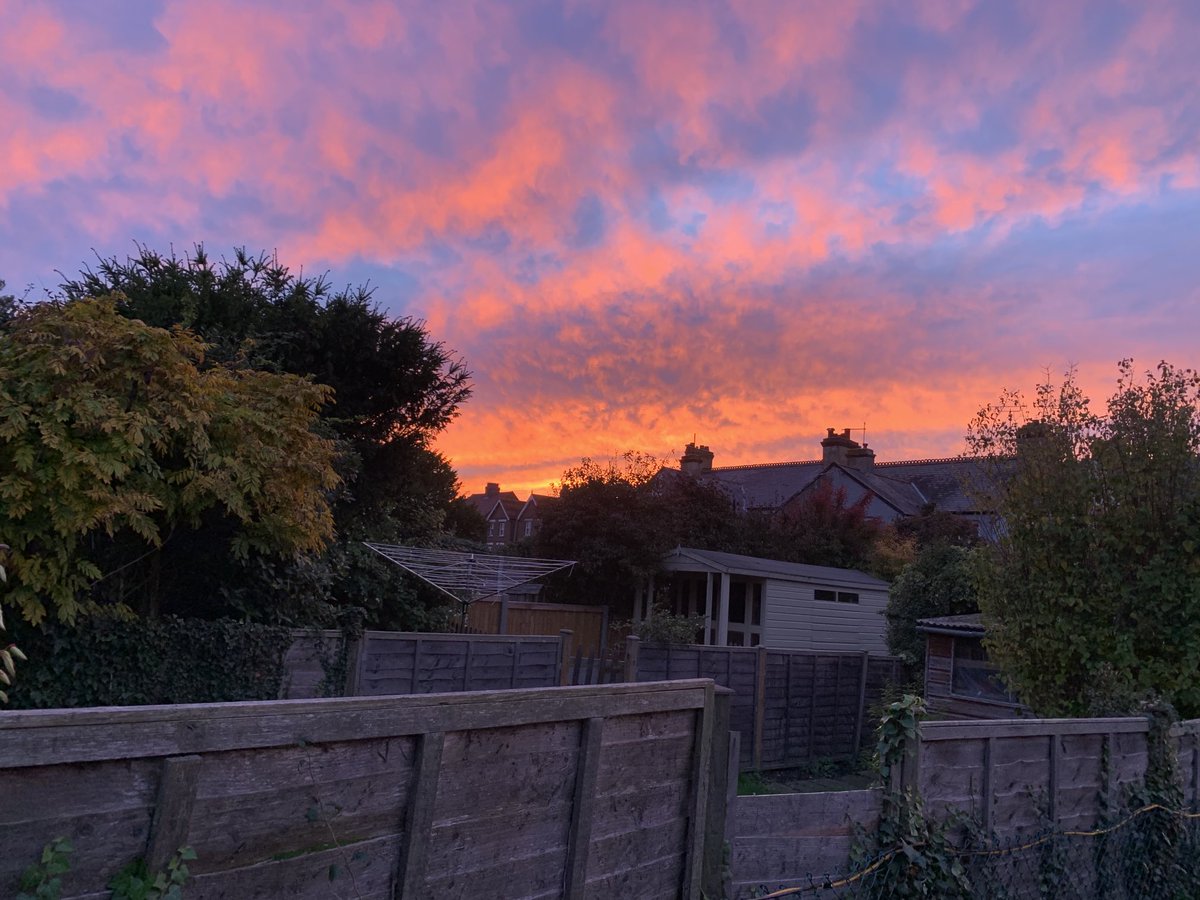 The view from the studio earlier. As we say at sea, red sky at night, sailors delight. I’ve known a few delightful sailors in my time. 🤣