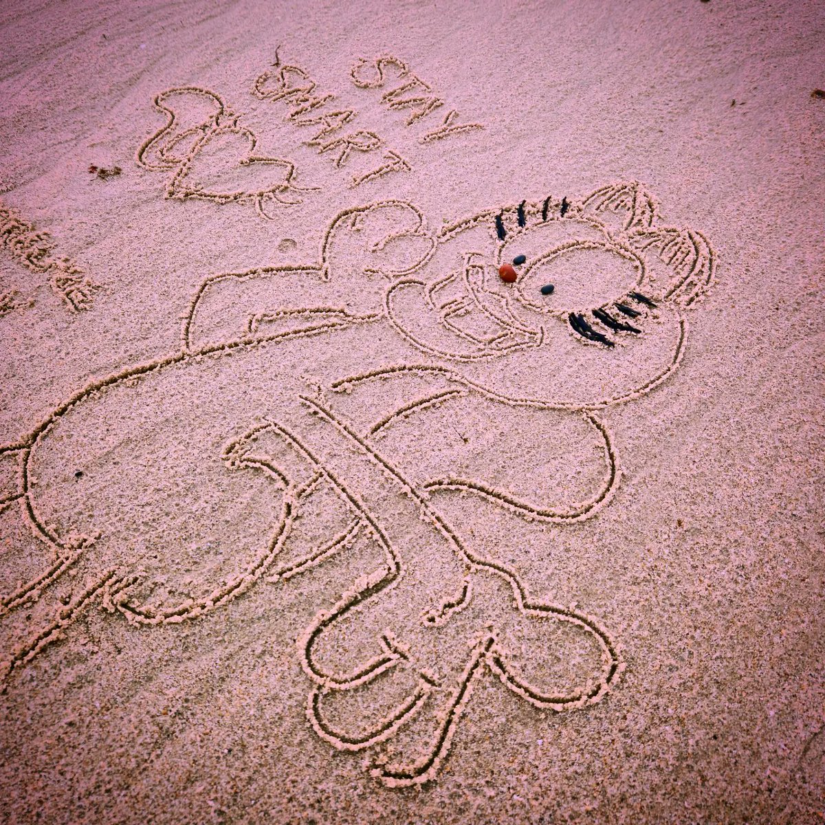 DigiDaughter's tweet photo. Stay Smart π½ #Arlene #garfield #cat #girlfriend #JimDavis #DeborahMessing #PawsInc #MuncieIndiana #Lazy #Lasagne
π #Covid2022 #Lockdown2021 #morale #VitaminSea πππ #DuneToons #Lockdown2020 #comics #cartoons βοΈ #SandBanksy #shorelinesally Character No.1737 https://t.co/eEhbf2Nje9