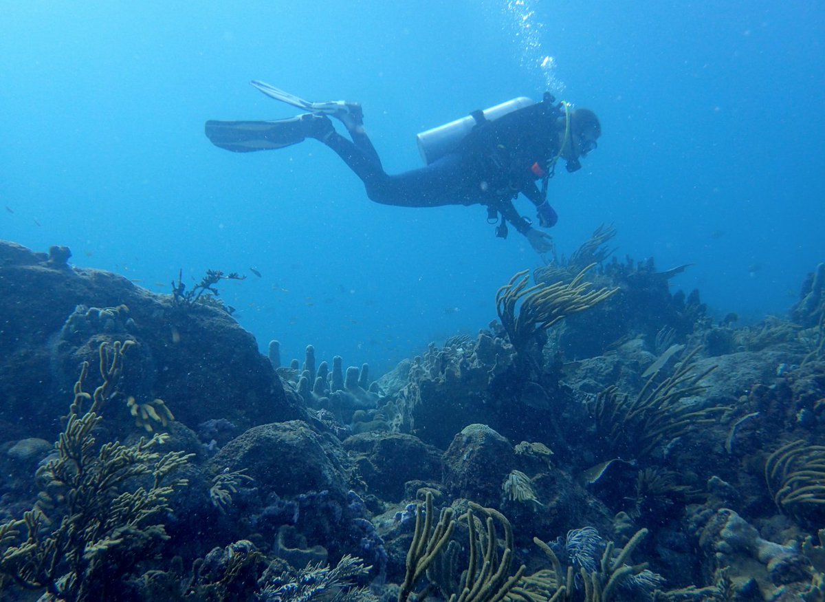 Amy Apprill tweet media