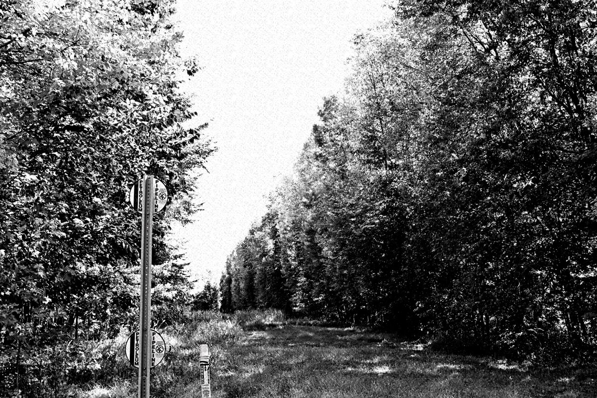 FranLuke123's tweet photo. Black & White photo of the day. Forest wall.
#photography #photographoftheday #photooftheday #picoftheday #blackandwhitephotography #forestwall https://t.co/8pQgG6j743