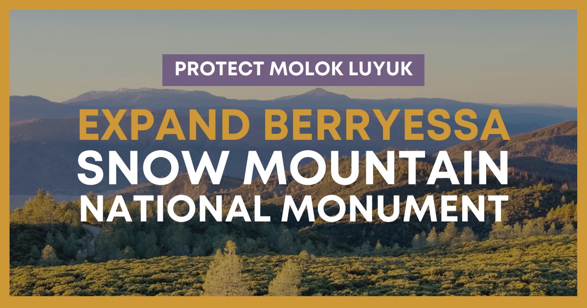 Expanding the Berryessa Snow Mountain National Monument to include #MolokLuyuk will protect sacred Yocha Dehe Wintun Nation lands and a critical wildlife corridor. 

Thanks <a href="/repgaramendi/">John Garamendi</a> <a href="/RepThompson/">Rep. Mike Thompson</a> <a href="/SenAlexPadilla/">Senator Alex Padilla</a> <a href="/SenFeinstein/">Senator Dianne Feinstein</a> for leading this 👏! #MonumentsForAll 📸: Bob Wick