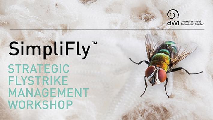 AWIExtensionNSW's tweet photo. 📣FINAL CHANCE TO REGISTER 📣
New England peeps!!
We have two upcoming #SimpliFly workshops THIS week!
👉Glen Innes - 19th October 2022
👉Armidale - 20th October 2022
Regstrations are essential click here to choose your preferred location: https://t.co/7dDZpjKXk8 https://t.co/3Q7cgl46A3