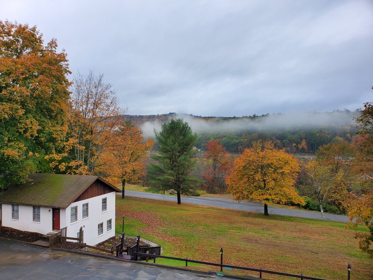 DunhamsBay's tweet photo. It's not as nice as sunshine but with colors like these we don't mind a little rain.

#rainyday #fall #nylovesfall #iloveny #ispyny #roamtheempire #upstateny #upstatenewyork #adk #adirondacks #adklife #warrencounty #warrencountyny #lakegeorge #lakegeorge365 #lakelife #mylgarea https://t.co/22F0b38hjM
