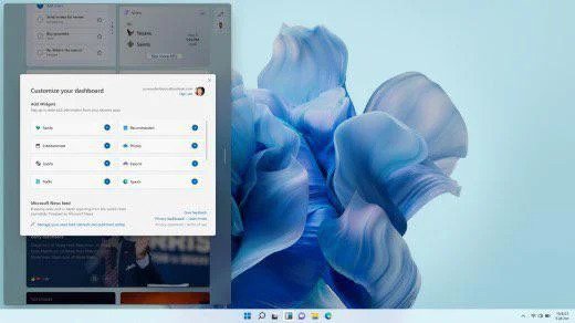 WindAesthetic's tweet image. Early versions of Windows 11’s default Bloom wallpaper, light and dark respectively. It takes a more petal-like appearance here.