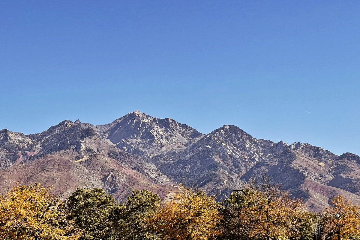 Scott Johnson tweet media