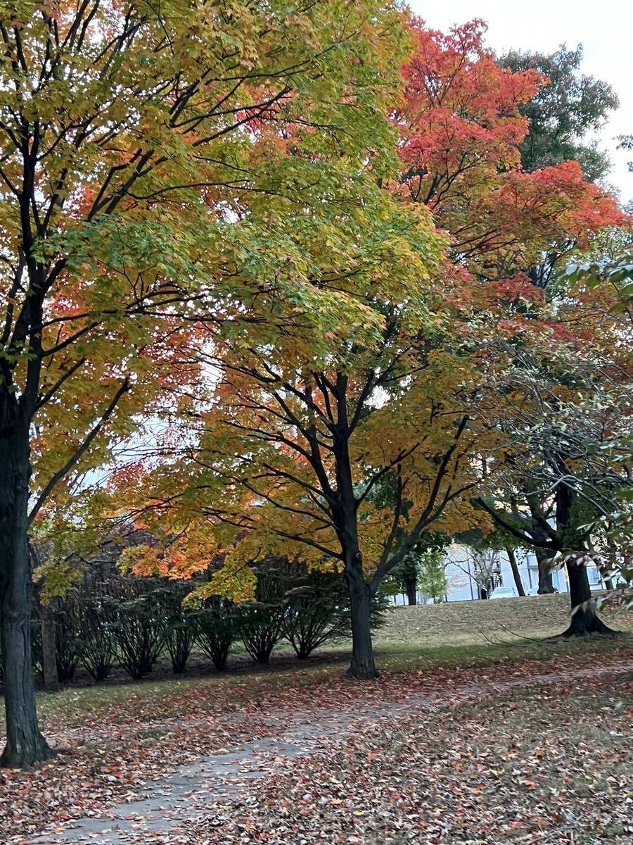 100KSteps1's tweet photo. ❤️ when #Fall is #Falling 🍁 https://t.co/KIJ6Y86d4g