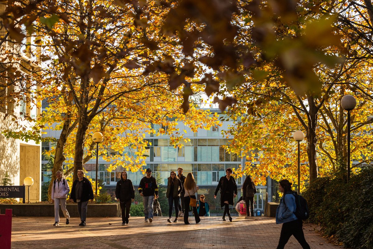 WWU Graduate School tweet media