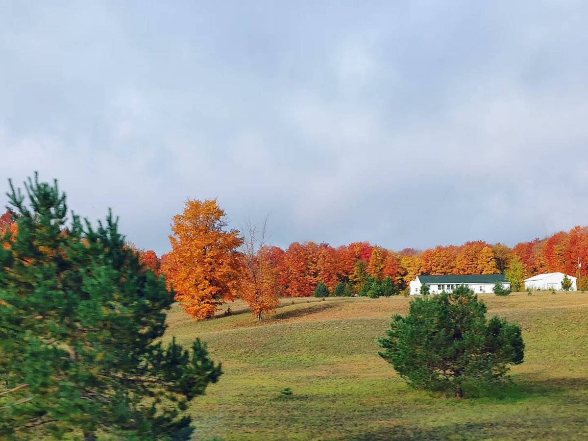 flakushis's tweet photo. #FallColorReport from @GaylordMichigan. 🍁 #fallvibes
@PureMichigan https://t.co/w4xOdwOTXD
