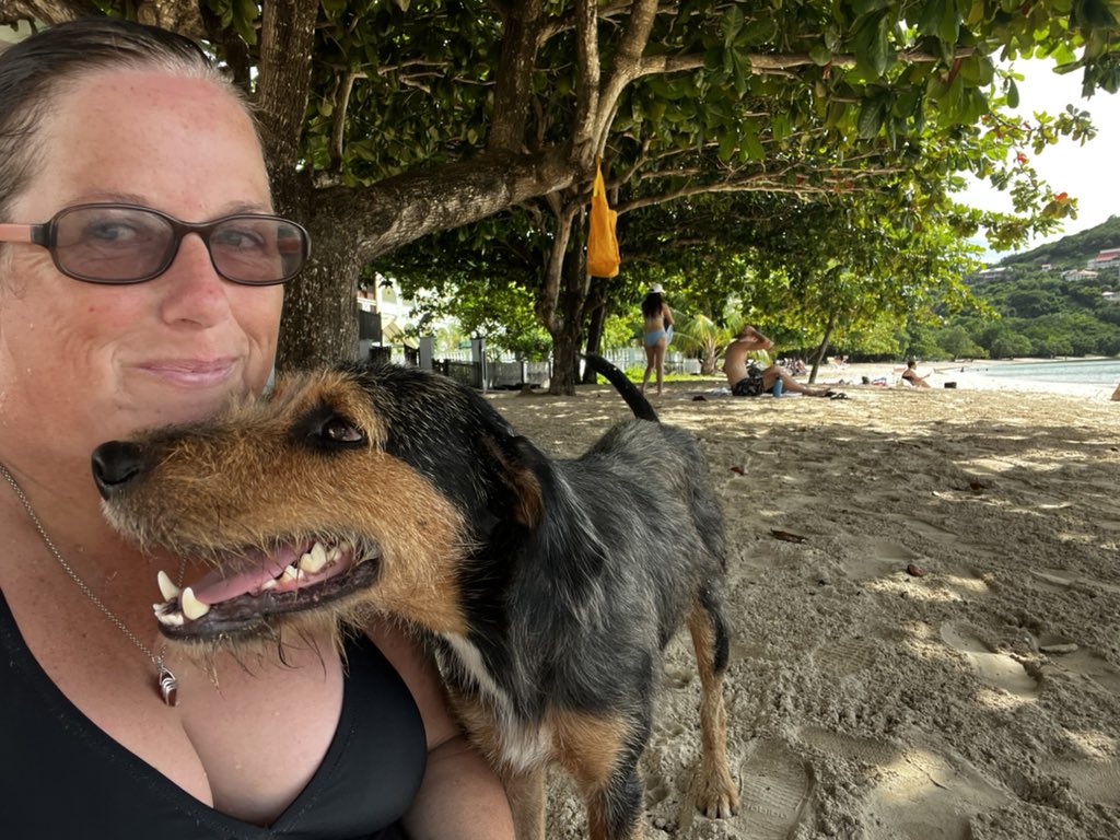 AINAnnieM's tweet photo. Made a new friend on #bbcbeach @puregrenada 🥰 https://t.co/tIonO9G5ox