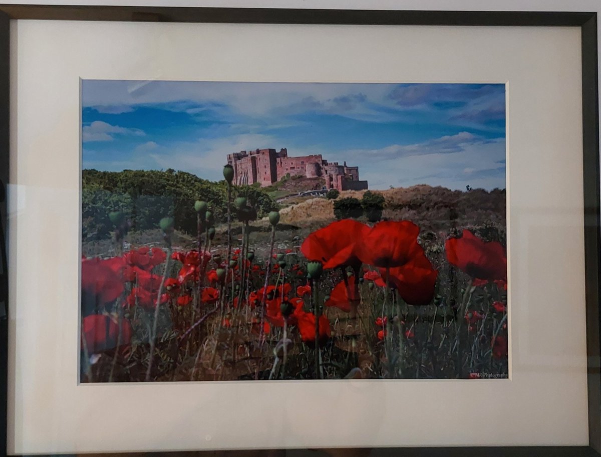 Really lucky to capture these Poppies at Bamburgh.  #photography #Sales #NORTHUMBERLAND #Bamburgh #Poppies <a href="/MissAlexjones/">Alex Jones</a> <a href="/newby_jenny/">Transformation Officer North Region BRC</a> <a href="/RosieFewings/">Rosie Fewings</a> <a href="/BarbaraWebb21/">BarbaraWebb</a> <a href="/LesleyjBRC/">Lesley jone</a> <a href="/HedleyLouise/">Louise Hedley</a> <a href="/MichaelAdamson5/">Mike Adamson</a> <a href="/NEHotProperty1/">NE Hot Property</a> <a href="/BizFactoryNT/">The Business Factory</a> @NECC_ <a href="/MRPhotographyNE/">Michael Rickwood</a> <a href="/alnwickcastle/">Alnwick Castle</a>
