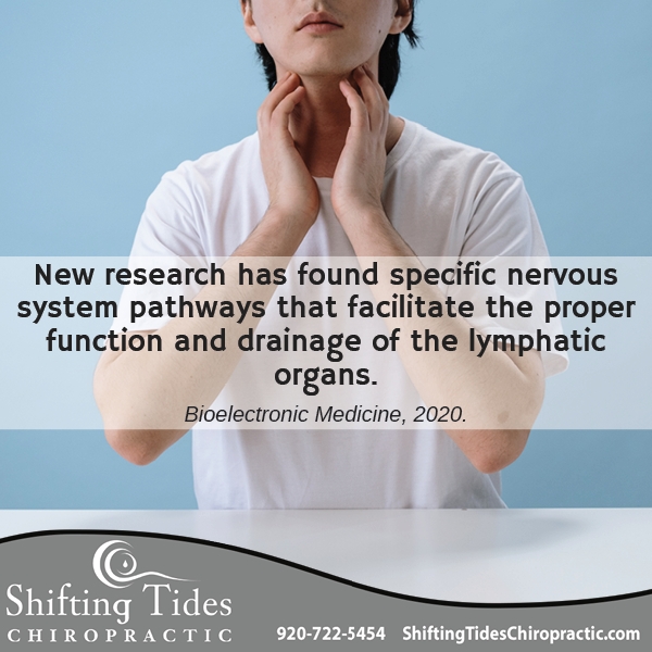 TidesShifting's tweet image. #lymphaticsystem #drainage #bettercirculation #healthier #integrator #adjusments #chiropracticcare #menashawi #natropath