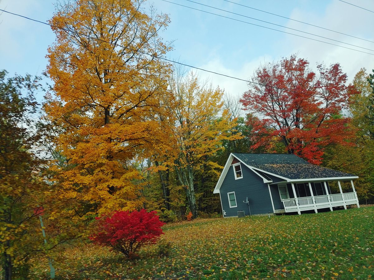 flakushis's tweet photo. #FallColorReport from @GaylordMichigan. 🍁 #fallvibes
@PureMichigan https://t.co/KJuVaOnd1d