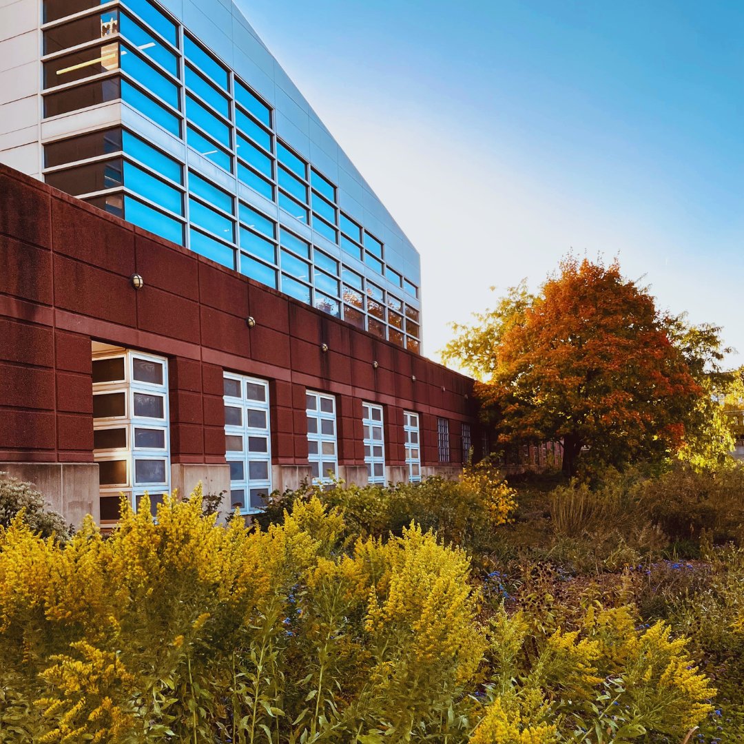 Plexpod's tweet photo. Happy Monday!! It is officially feeling (and looking) like fall today and we are loving it! What is motivating you this week?  

#FallInKC #plexpod #theplexpodway #coworkingspace #coworking #coworkingspace #office #business #workspace #officespace #entrepreneur #coworkinglife https://t.co/4GqbHCG0Ls