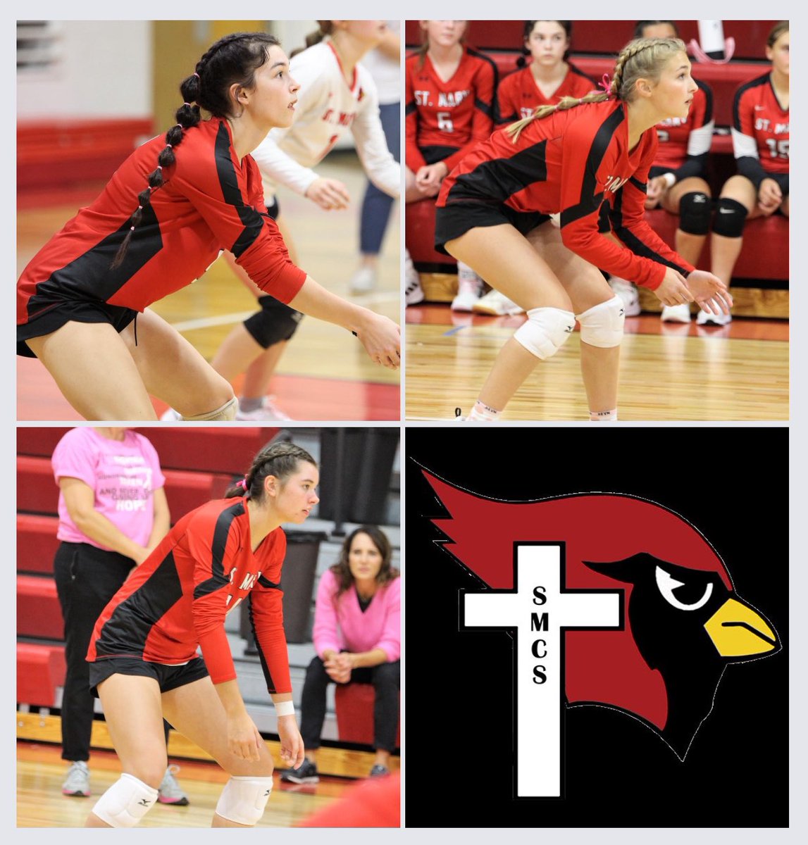Great group of Sophomores! #CardinalVolleyball
@BriannaG2025 -MH; @MadalaHanson1 -DS; Megan-MH; Aubry-DS; Jodie-OH; and Maddie-MH