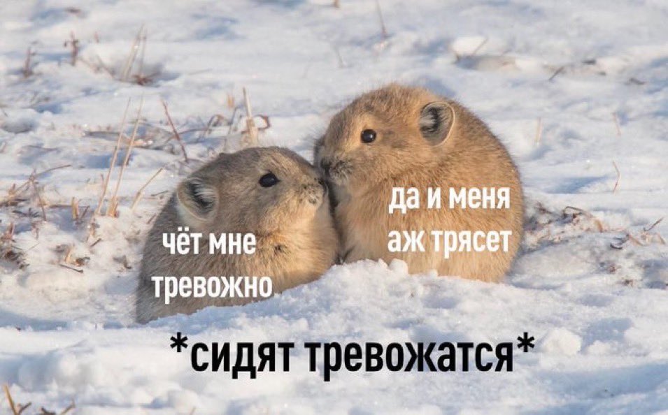 treschenko24's tweet photo. Мы или не мы? https://t.co/4JZhb68Jvp